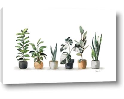 Picture of Pots with plants
