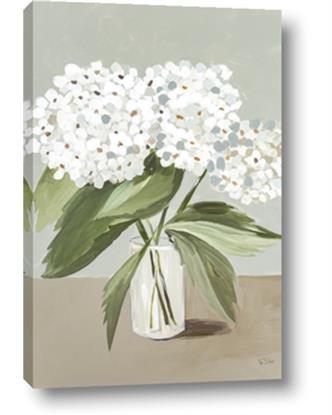 Picture of White Hydrangea