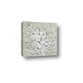 Picture of Baby's  Breath _GroupedProduct_Square_Canvas_