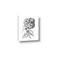 Picture of Flowers and leaves II _GroupedProduct_Rectangle_Portrait_Canvas_