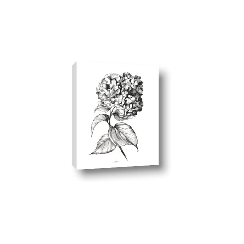 Picture of Flowers and leaves II _GroupedProduct_Rectangle_Portrait_Canvas_