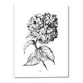 Picture of Flowers and leaves II _GroupedProduct_Rectangle_Portrait_Canvas_