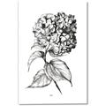 Picture of Flowers and leaves II _GroupedProduct_Rectangle_Portrait_Canvas_