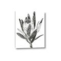 Picture of Spring Magnolia Blossoms _GroupedProduct_Rectangle_Portrait_Canvas_