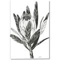 Picture of Spring Magnolia Blossoms _GroupedProduct_Rectangle_Portrait_Canvas_