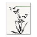 Picture of Rowan Tree _GroupedProduct_Rectangle_Portrait_Canvas_