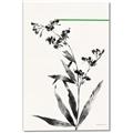 Picture of Rowan Tree _GroupedProduct_Rectangle_Portrait_Canvas_