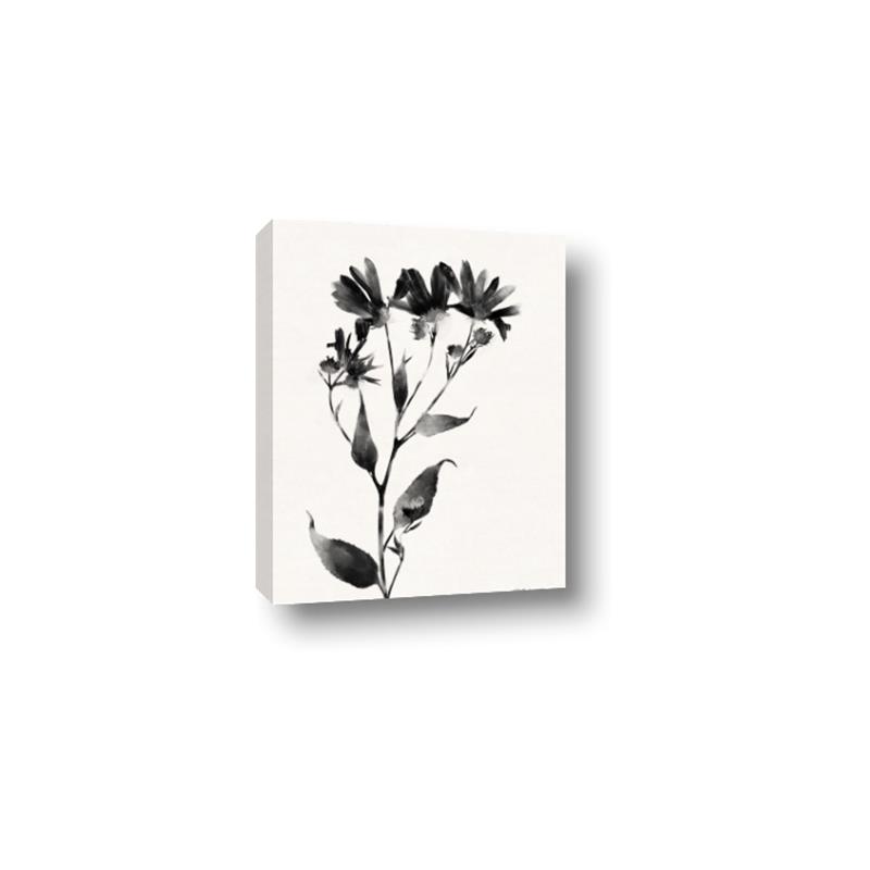 Picture of Black flower II (Ink border black ) _GroupedProduct_Rectangle_Portrait_Canvas_