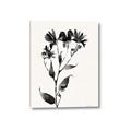 Picture of Black flower II (Ink border black ) _GroupedProduct_Rectangle_Portrait_Canvas_