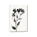 Picture of Black flower II (Ink border black ) _GroupedProduct_Rectangle_Portrait_Canvas_