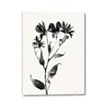 Picture of Black flower II (Ink border black ) _GroupedProduct_Rectangle_Portrait_Canvas_