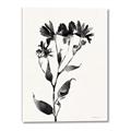 Picture of Black flower II (Ink border black ) _GroupedProduct_Rectangle_Portrait_Canvas_