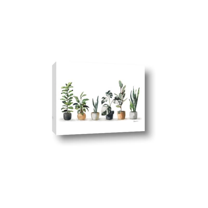 Picture of Pots with plants _GroupedProduct_Rectangle_Landscape_Canvas_