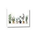 Picture of Pots with plants _GroupedProduct_Rectangle_Landscape_Canvas_