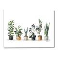 Picture of Pots with plants _GroupedProduct_Rectangle_Landscape_Canvas_