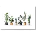 Picture of Pots with plants _GroupedProduct_Rectangle_Landscape_Canvas_