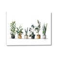 Picture of Pots with plants _GroupedProduct_Rectangle_Landscape_Canvas_