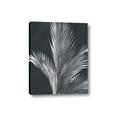 Picture of Pinneedles I _GroupedProduct_Rectangle_Portrait_Canvas_