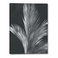 Picture of Pinneedles I _GroupedProduct_Rectangle_Portrait_Canvas_