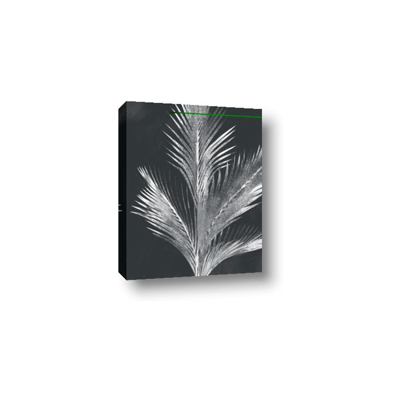 Picture of Pinneedles II _GroupedProduct_Rectangle_Portrait_Canvas_