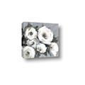 Picture of Full Bloom I _GroupedProduct_Square_Canvas_