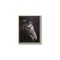 Picture of Hugo  _GroupedProduct_Rectangle_Portrait_Canvas_Framed_