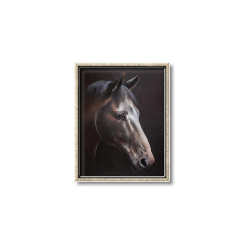 Picture of Hugo  _GroupedProduct_Rectangle_Portrait_Canvas_Framed_