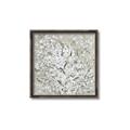 Picture of Baby's  Breath _GroupedProduct_Square_Canvas_Framed_