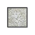 Picture of Baby's  Breath _GroupedProduct_Square_Canvas_Framed_