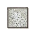 Picture of Baby's  Breath _GroupedProduct_Square_Canvas_Framed_