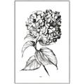Picture of Flowers and leaves II _GroupedProduct_Rectangle_Portrait_Canvas_Framed_