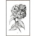 Picture of Flowers and leaves II _GroupedProduct_Rectangle_Portrait_Canvas_Framed_