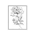 Picture of Flowers and leaves (Foil) _GroupedProduct_Rectangle_Portrait_Canvas_Framed_