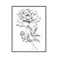 Picture of Flowers and leaves (Foil) _GroupedProduct_Rectangle_Portrait_Canvas_Framed_