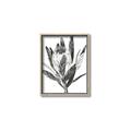 Picture of Spring Magnolia Blossoms _GroupedProduct_Rectangle_Portrait_Canvas_Framed_