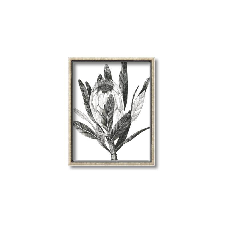 Picture of Spring Magnolia Blossoms _GroupedProduct_Rectangle_Portrait_Canvas_Framed_