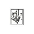 Picture of Spring Magnolia Blossoms _GroupedProduct_Rectangle_Portrait_Canvas_Framed_