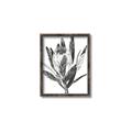 Picture of Spring Magnolia Blossoms _GroupedProduct_Rectangle_Portrait_Canvas_Framed_