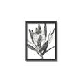 Picture of Spring Magnolia Blossoms _GroupedProduct_Rectangle_Portrait_Canvas_Framed_