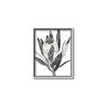 Picture of Spring Magnolia Blossoms _GroupedProduct_Rectangle_Portrait_Canvas_Framed_