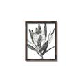 Picture of Spring Magnolia Blossoms _GroupedProduct_Rectangle_Portrait_Canvas_Framed_