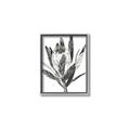 Picture of Spring Magnolia Blossoms _GroupedProduct_Rectangle_Portrait_Canvas_Framed_