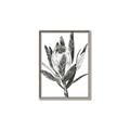 Picture of Spring Magnolia Blossoms _GroupedProduct_Rectangle_Portrait_Canvas_Framed_