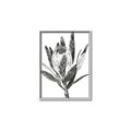 Picture of Spring Magnolia Blossoms _GroupedProduct_Rectangle_Portrait_Canvas_Framed_