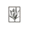 Picture of Spring Magnolia Blossoms _GroupedProduct_Rectangle_Portrait_Canvas_Framed_