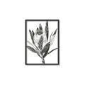 Picture of Spring Magnolia Blossoms _GroupedProduct_Rectangle_Portrait_Canvas_Framed_