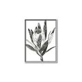 Picture of Spring Magnolia Blossoms _GroupedProduct_Rectangle_Portrait_Canvas_Framed_