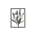 Picture of Spring Magnolia Blossoms _GroupedProduct_Rectangle_Portrait_Canvas_Framed_