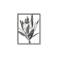 Picture of Spring Magnolia Blossoms _GroupedProduct_Rectangle_Portrait_Canvas_Framed_