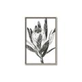 Picture of Spring Magnolia Blossoms _GroupedProduct_Rectangle_Portrait_Canvas_Framed_